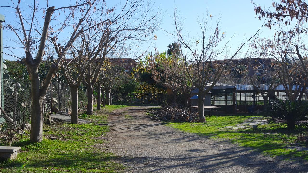 Agriturismo Masseria I Risi ξενώνας SantʼEufemia Lamezia Εξωτερικό φωτογραφία
