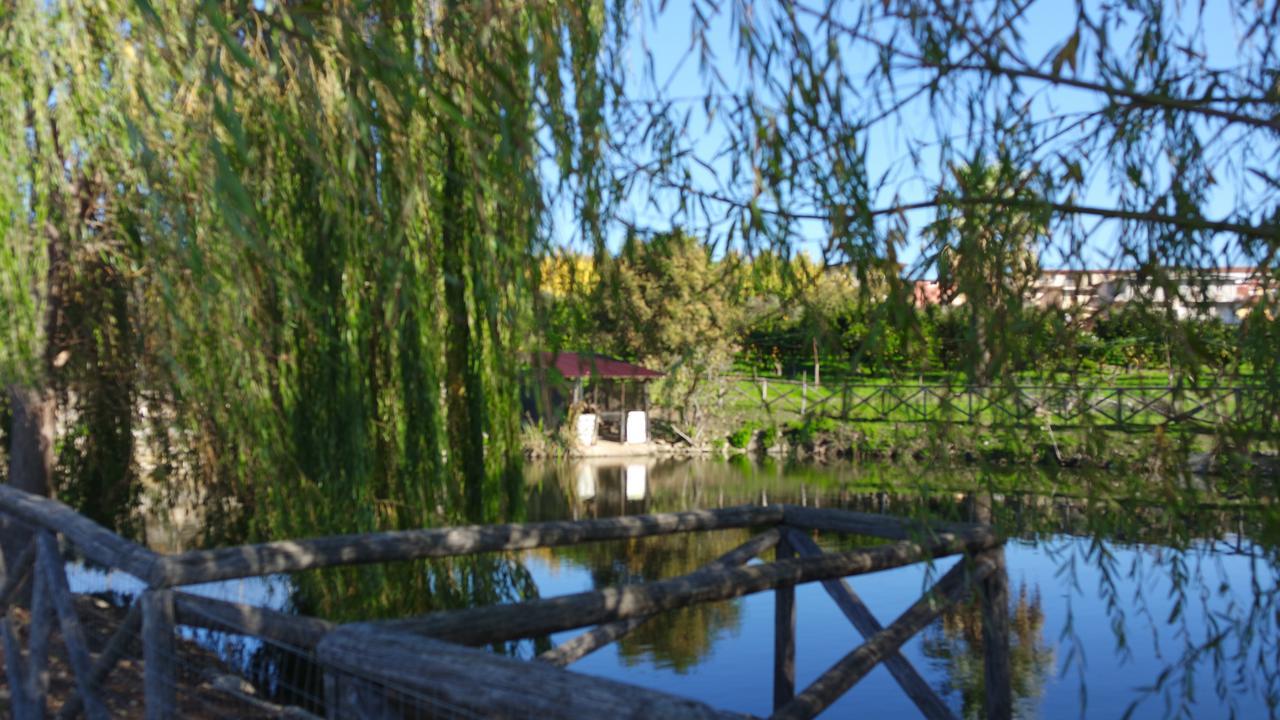 Agriturismo Masseria I Risi ξενώνας SantʼEufemia Lamezia Εξωτερικό φωτογραφία