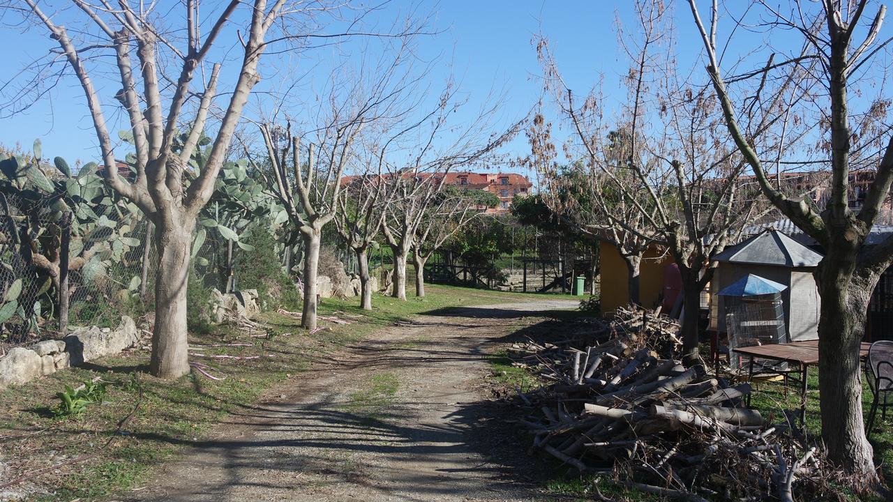 Agriturismo Masseria I Risi ξενώνας SantʼEufemia Lamezia Εξωτερικό φωτογραφία