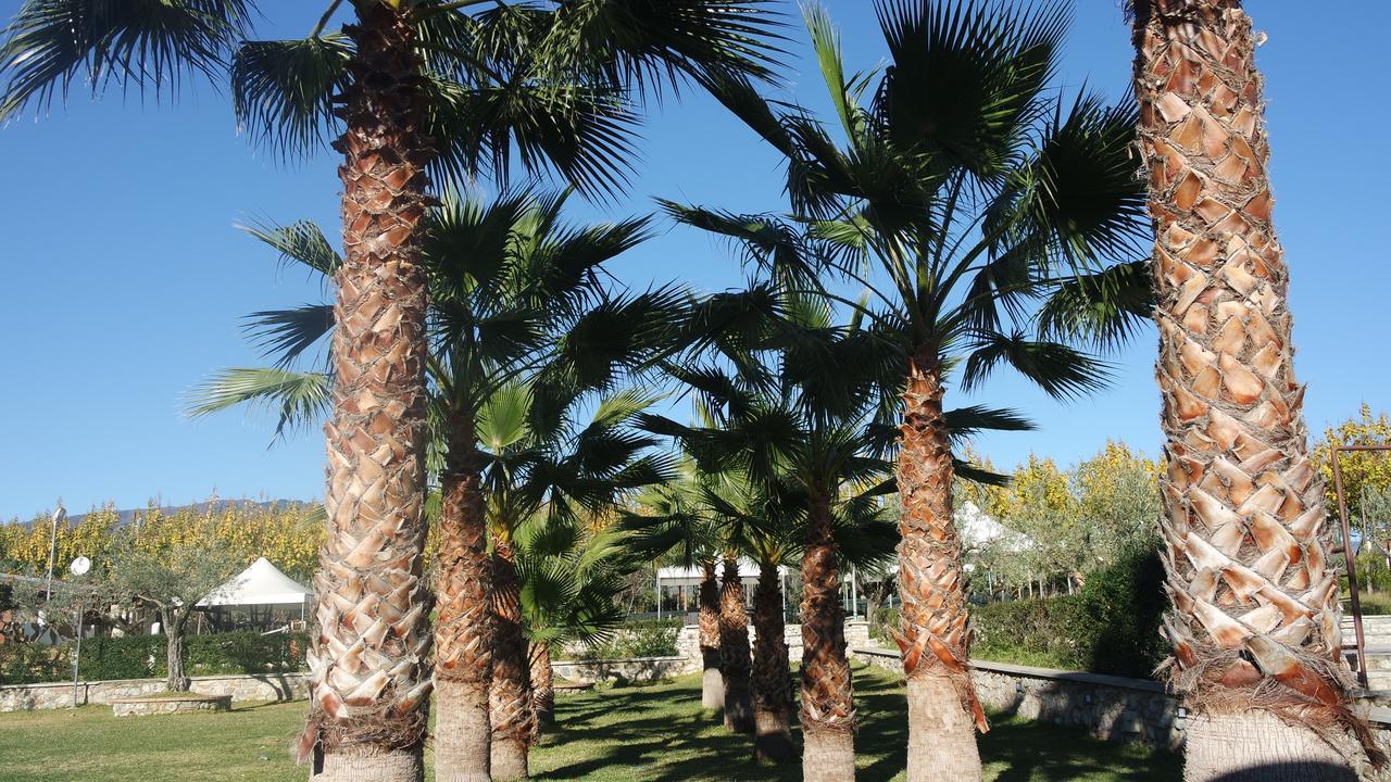 Agriturismo Masseria I Risi ξενώνας SantʼEufemia Lamezia Εξωτερικό φωτογραφία