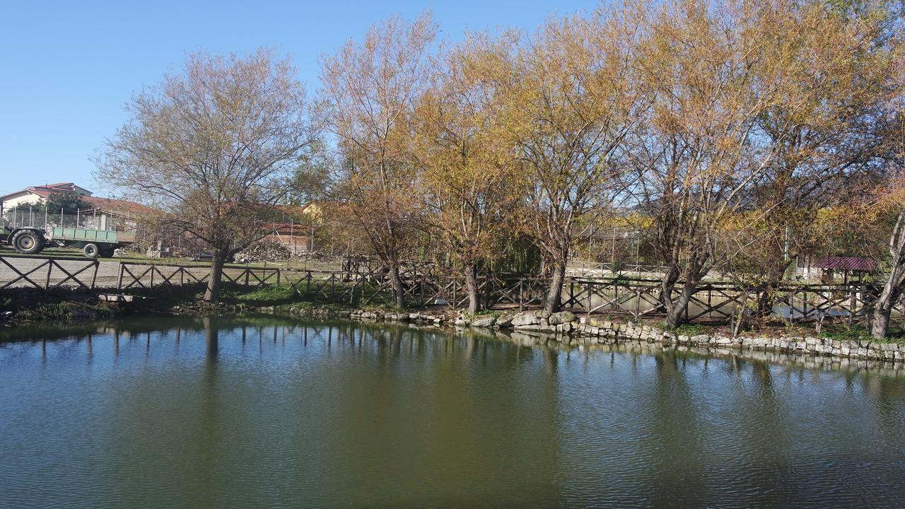 Agriturismo Masseria I Risi ξενώνας SantʼEufemia Lamezia Εξωτερικό φωτογραφία