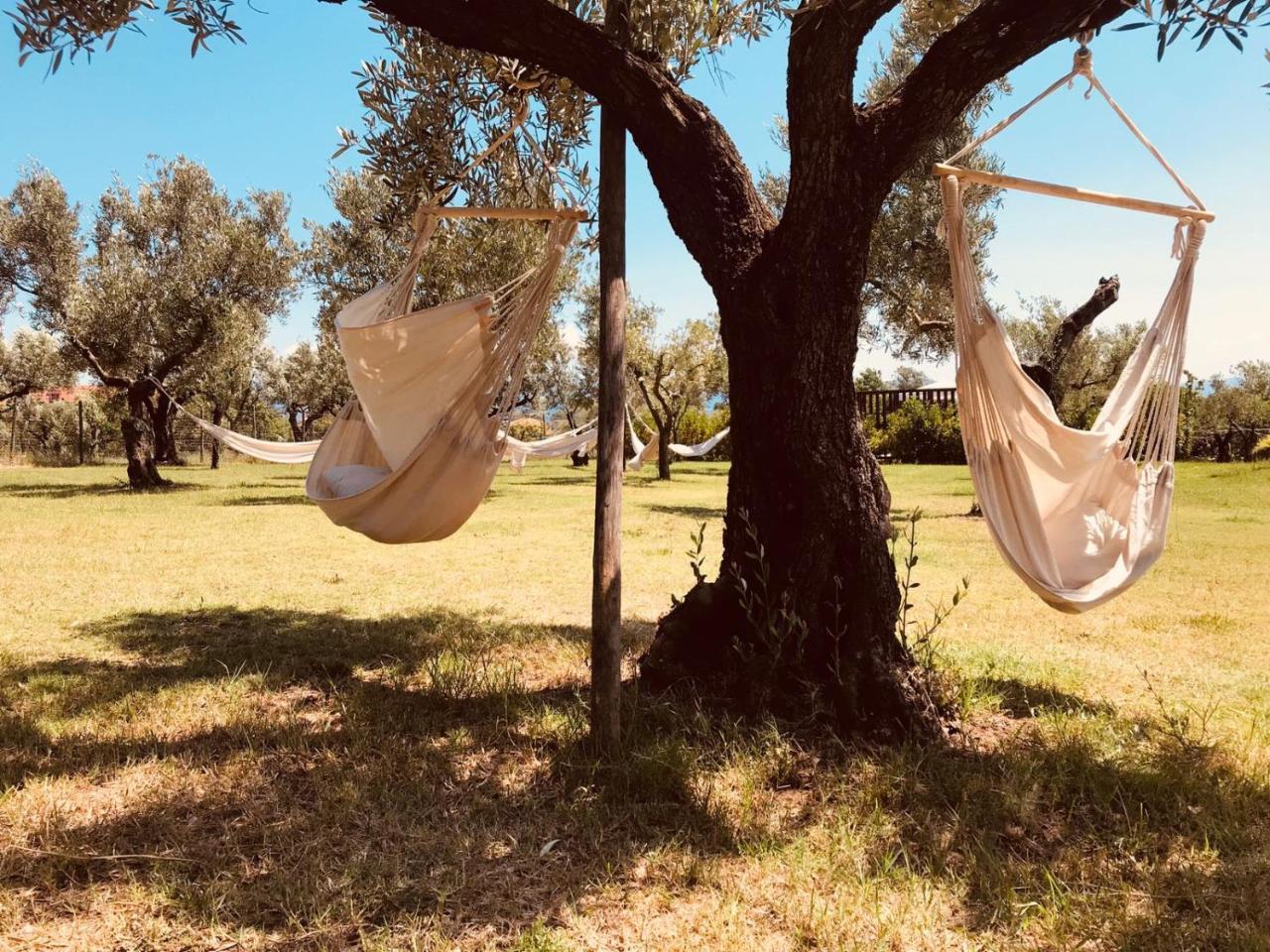 Agriturismo Masseria I Risi ξενώνας SantʼEufemia Lamezia Εξωτερικό φωτογραφία