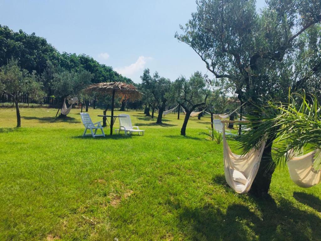 Agriturismo Masseria I Risi ξενώνας SantʼEufemia Lamezia Εξωτερικό φωτογραφία